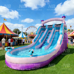 Home Use Kids Outdoor Inflatable <b>Small</b> Water Pool <b>Slide</b> Amusement Bouncer House NB- 93033 Inflatable Castle Kids Home Use Kids O - Product Image 2