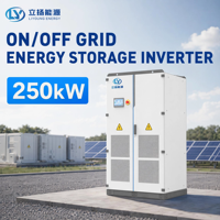 Armoire de stockage d'énergie à batterie LiFePO4 pour utilisation hors réseau et sur réseau, certifiée CE UN38.3 IEC, Plug and Play
