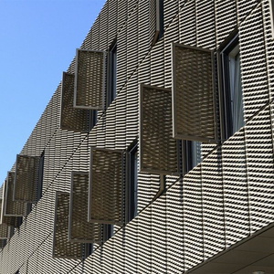 Panneaux en aluminium thermolaqués pour la décoration des murs extérieurs des immeubles commerciaux de grande hauteur - Product Image 6