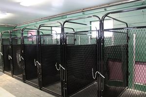 Đi Bộ Mới trong cũi chó lớn ngoài trời nội trú Cũi chó nặng chạy động vật nơi trú ẩn - Product Image 4