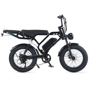 Vélo électrique EU AU US TST Ebike longue portée, grande capacité, pneus larges, alliage, 750w, 15.6ah, vélos cargo électriques - Product Image 6