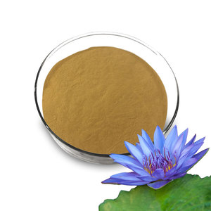 Wild Blue <strong>Lotus</strong> <strong>Extract</strong> Powder Herbal <strong>Extract</strong> Liquid-solid Extraction Food Grade CN;SHA Longze Drum 5;1 - Product Image 2