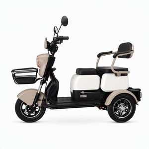 DomeRide Micro Car 2025 Nuovo Arrivo Certificazione EEC Tricicli Elettrici Piccoli 60v 1000w per Anziani - Product Image 3