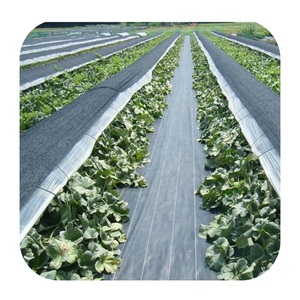 Tissu <span class=keywords><strong>de</strong></span> paysage géotextile tissé pour la stabilisation du sol et la sous-couche pour les routes <span class=keywords><strong>de</strong></span> <span class=keywords><strong>gravier</strong></span> d'allée et les parkings 200 Lbs - Product Image 3