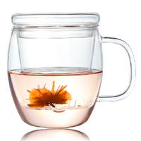 Ensemble de tasses à thé en verre borosilicate de 350 ml et 450 ml, faites à la main, résistantes à la chaleur, pour la maison et le bureau, avec infuseur et poignée