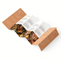 Flyers et dépliants personnalisables avec logo sur mesure, papier couché, format personnalisé, finition brillante, impression offset