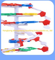 Modèle de structure de l'ADN à double hélice - Jouet éducatif en PVC durable pour l'école