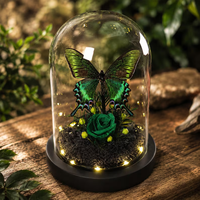 Cloche en verre papillon émeraude avec spécimen réel préservé, rose botanique, décoration de luxe pour bureau, maison, mariage, cadeau