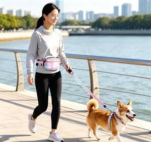 Custom Luxury Minimalist Leather <b>Dog</b> Leash Brass Snap Hooks Swivel Hook Durable Pet Walking Leash - Product Image 1