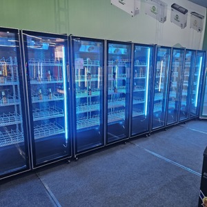 格安コーラ飲料クーラー業務用ディスプレイ冷凍庫<span class=keywords><strong>3</strong></span>ドア縦型5つ星省エネ調整可能棚工場価格 - Product Image 4