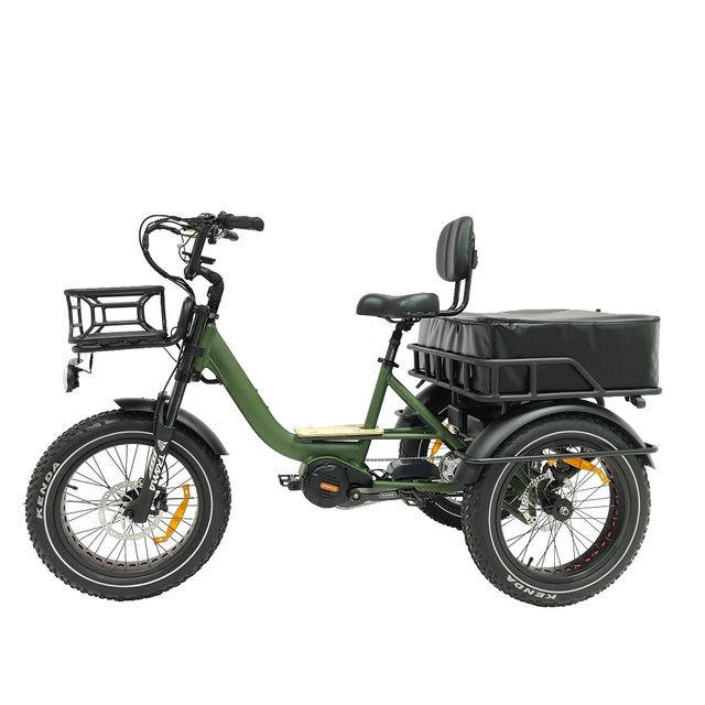 Factory Direct 3-Wheel Cargo Electric Bike with 1000W Mid Motor Aluminum Alloy Frame and 48v Central Motor Fat Tire Trike