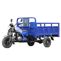 Tricycle à essence 3 roues pour moto à essence lourde, tricycle adulte à grandes roues, tricycle Tuk Tuk, châssis de tricycle avec Wago