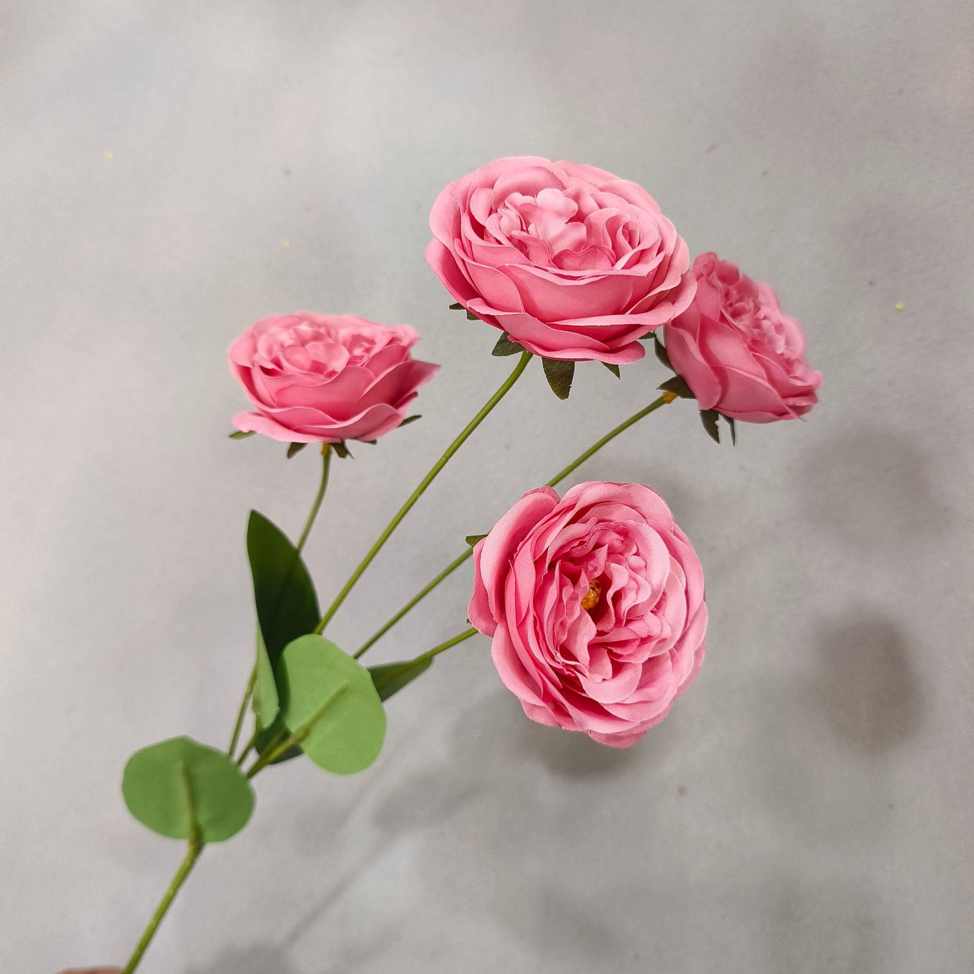 4 Austin-Rose Rojo - 60cm