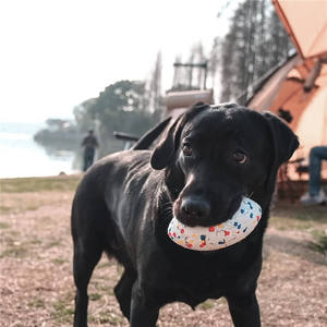 Eco-Friendly Tough Durable Rugby ETPU Dog Chew <b>Toy</b> Interactive Rubber Ball for Aggressive Chewers Packed in <b>Box</b> - Product Image 1