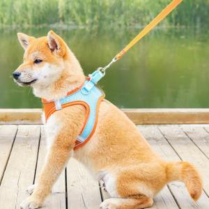 Sınır ötesi moda Pet malzemeleri yelek tipi köpek koşum kedi tasma nefes yansıtıcı naylon zincir katı desen yastıklı - Product Image 3