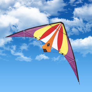 Aquilone Acrobatico a Doppia Linea per Adulti |   Kite Sportivo ad Alte Prestazioni, 360 °   Rotazione e Lancio Facile |   Vendita all'ingrosso direttamente dalla fabbrica - Product Image 5