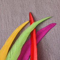Plumes de coq teintées naturelles pour cocktails, 35-40 cm, pour la danse, les mariages, les fêtes, accessoires de décoration vestimentaire