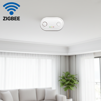 Detector de CO Zigbee de Alta Sensibilidad, Alarma de Monóxido de Carbono, Tuya Smart, Funciona con Batería de 2 Años, Sensor Inalámbrico de Seguridad para el Hogar de ABS
