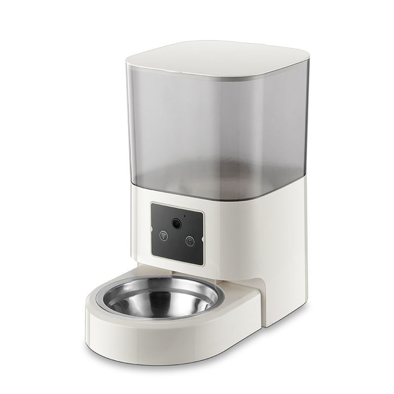 โปร่งใส