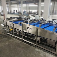 Machine de séchage de tambour automatique LWT personnalisée, contrôlée par PLC, avec moteur, pour la transformation alimentaire des fruits et légumes en sacs