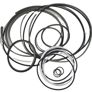 790325214 liebherr lhm 250 harbour cần cẩu di động xi lanh thủy lực con dấu Kit - Product Image 1