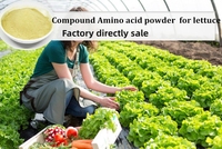 Aminoácidos Enzimáticos 80% con Nitrógeno 14-16% Aminoácidos a Granel Personalizados al por Mayor para la Agricultura