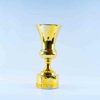 Trophée de la Coupe d'Italie de football, trophée personnalisé en métal doré, récompense du championnat italien de football, prix perpétuel orné, gravure gratuite