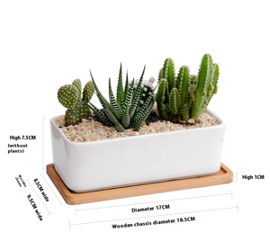 Grands Pots <span class=keywords><strong>de</strong></span> fleurs succulents en céramique d'exportation Pots combinés rafraîchissants modernes Finition émaillée en porcelaine blanche pure Jardinière simple - Product Image 6