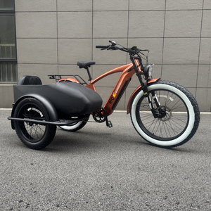 Triciclo Elettrico per Adulti con Sidecar Bici <span class=keywords><strong>a</strong></span> <span class=keywords><strong>3</strong></span> <span class=keywords><strong>Ruote</strong></span> Ebike da Carico 750w con Batteria al Litio Nascosta Etrike Sidecar - Product Image 6