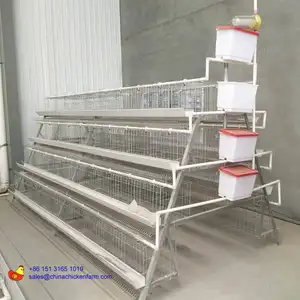 A Type Cage For Broiler And Layer Hen Chicken Feeder And Drinker 96-100-128 Hens