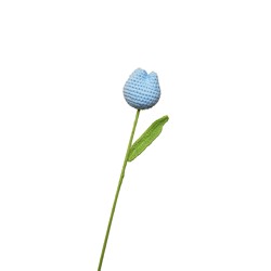 Tulipe bleue