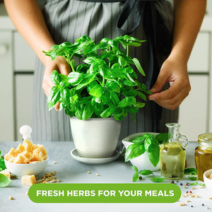 Kit de démarrage pour le jardinage à domicile, mini cuisine <span class=keywords><strong>bio</strong></span>, fenêtre, <span class=keywords><strong>jardin</strong></span> avec pots, fonction pot de fleur - Product Image 5