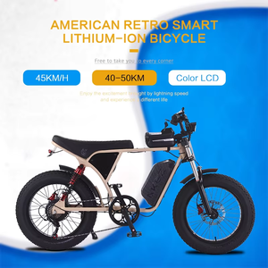 Vélo électrique longue portée X9-8 avec cadre en acier, batterie au lithium 15AH 48V, prise EU, porte-bagages arrière, double suspension, freins à disque hydrauliques, 250W - Product Image 6