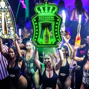 Présentoir LED VIP pour service de bouteilles Présentateur pour Bar Night Club Disco Party