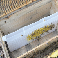 BEESTAR Langstroth Accessoires d'apiculture Nouveau mangeoire à abeilles multifonction en plastique et accessoire de ruche
