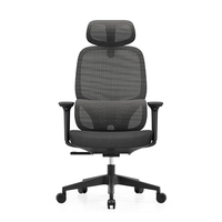 Chaise de bureau ergonomique au design unique et tendance avec support lombaire réglable en hauteur et accoudoirs 3D