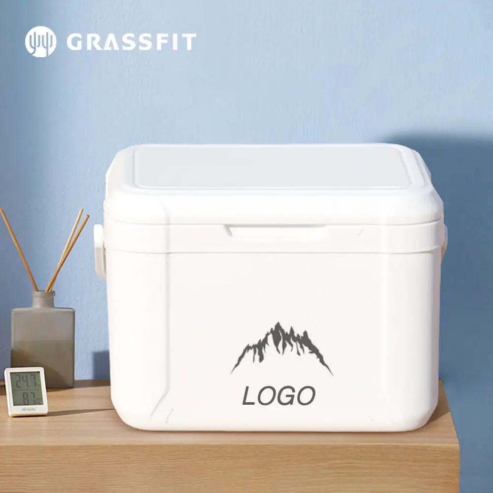 5L 5qt Logo personalizzato isolato esterno campeggio Mini Cooler scatola ghiaccio portatile frigorifero Picnic con manico ghiacciaia scatola di raffreddamento