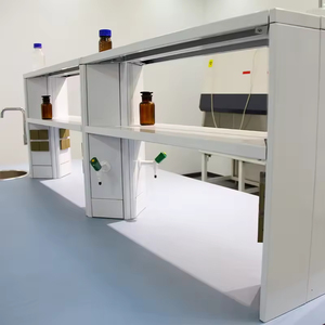 Professional <strong>Laboratory</strong> Workbench <strong>Laboratory</strong> Furniture Lab Work <strong>Station</strong> for School Research Institute Chemical Biology - Product Image 4
