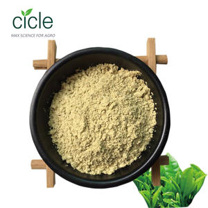 ชาซาโปนินผง60% สารสกัดจากพืชเมล็ดชาซาโปนิน - Product Image 2