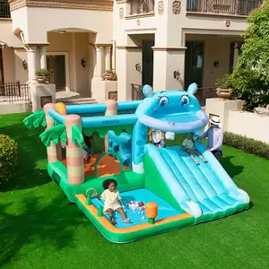 Doctor Dolphin Inflatable Bouncer Jumping Castle Slide Home Use Party Bounce House With Slide Kids Bouncy Castle Bounce House