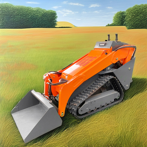 <strong>Mini</strong> Garden Side <strong>Garbage</strong> <strong>Truck</strong> Articulated Tractor Front End Loader for Sale - Product Image 5
