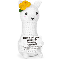 Jouets en peluche au crochet en laine faits main style dessin animé avec carte de message, poupée animale tricotée, cadeau pour maman, sœur, amie, professeur