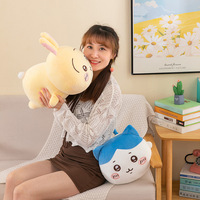 Ensemble de jouets en peluche Chiikawa mignons, en coton doux, oreiller rembourré, Usagi Hachiware, poupée anime Kawaii pour enfants, fans, cadeau d'anniversaire