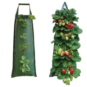 Sacs <span class=keywords><strong>de</strong></span> culture suspendus pour fraises et tomates <span class=keywords><strong>de</strong></span> jardin, pots <span class=keywords><strong>de</strong></span> plantes, conteneurs non tissés pour jardin vertical, sacs <span class=keywords><strong>de</strong></span> culture suspendus pour plantes - Product Image 2