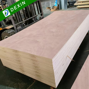1220x2440mm 5mm 9mm 18mm <span class=keywords><strong>compensato</strong></span> commerciale <span class=keywords><strong>di</strong></span> legno <span class=keywords><strong>di</strong></span> <span class=keywords><strong>pioppo</strong></span> Okoume / Bintangor <span class=keywords><strong>compensato</strong></span> impiallacciato dal produttore della Cina - Product Image 2