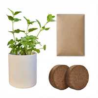 Kit de culture d'herbes aromatiques avec pot de culture et substrat écologique en fibres végétales pour bureau, jardin et maison