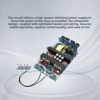 IRS2092 carte d'amplificateur de puissance HIFI haute puissance double canal numérique classe D 500W + 500W dépasse LM3886