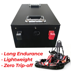 Baterai LiFePO4 60V 50Ah untuk Go Kart Khusus Torsi Tinggi - Product Image 1