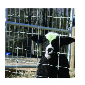 Recinto del bestiame dei cervi delle pecore della capra animale del campo del prato del recinto del filo di maiale galvanizzato migliore prezzo sull'azienda agricola