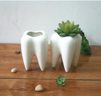 Pot de fleurs en forme de dent moderne, organisateur de bureau, porte-stylos créatif, porte-pinceaux pour la décoration de la maison, vente en gros